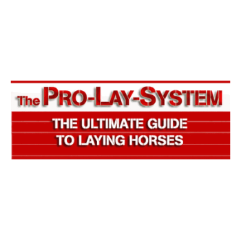 A professional laying service